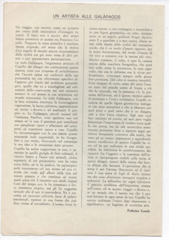 Escanear 23
