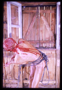 FC F 0014 rotated