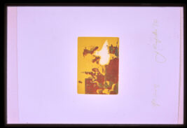 FC F 0041