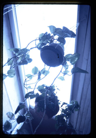 FC F 0333 rotated